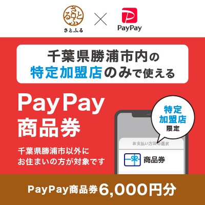 千葉県勝浦市　PayPay商品券(6,000円分)※地域内の一部の加盟店のみで利用可