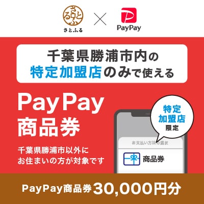 千葉県勝浦市　PayPay商品券(30,000円分)※地域内の一部の加盟店のみで利用可
