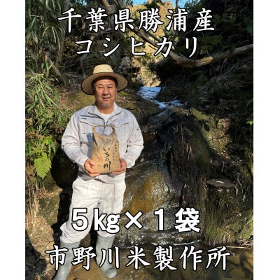 千葉県勝浦産コシヒカリ(精米)5kg