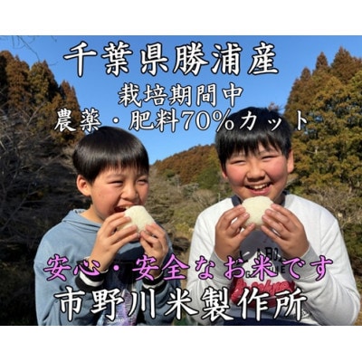 千葉県勝浦産コシヒカリ(精米)5kg