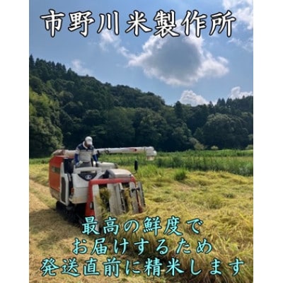 千葉県勝浦産コシヒカリ(精米)5kg