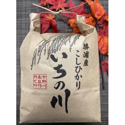 千葉県勝浦産コシヒカリ(精米)10kg