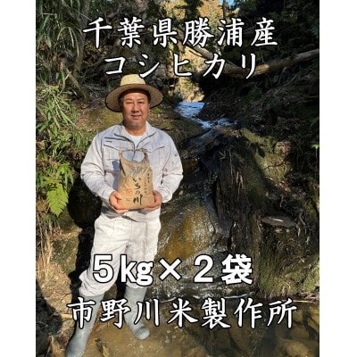 千葉県勝浦産コシヒカリ(精米)10kg