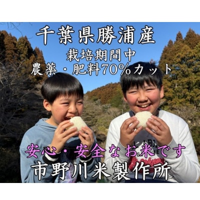 千葉県勝浦産コシヒカリ(精米)10kg