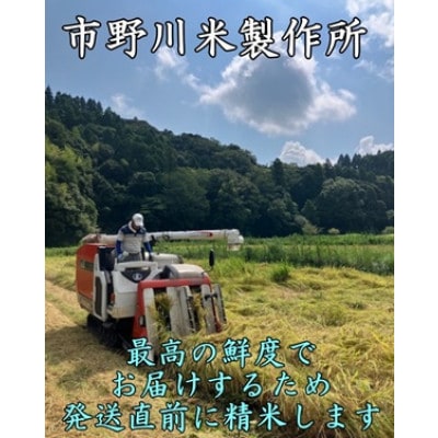 千葉県勝浦産コシヒカリ(精米)10kg