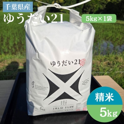 【令和8年産】ゆうだい21　千葉県勝浦市産　精米　5kg×1袋　2026年9月以降順次発送