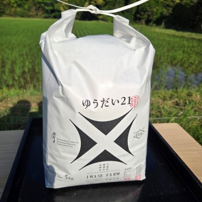 【令和8年産】ゆうだい21　千葉県勝浦市産　精米　5kg×1袋　2026年9月以降順次発送