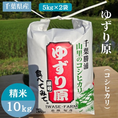 【令和8年産】ゆずり原(コシヒカリ)千葉県産　精米10kg(5kg×2袋)2026年9月以降順次発送