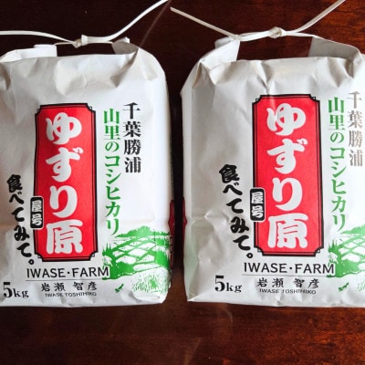 【令和8年産】ゆずり原(コシヒカリ)千葉県産　精米10kg(5kg×2袋)2026年9月以降順次発送