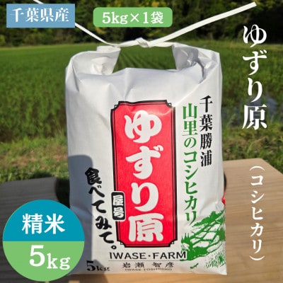 【令和8年産】ゆずり原(コシヒカリ)　千葉県勝浦市産　精米　5kg×1袋　2026年9月以降発送