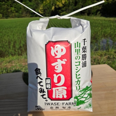 【令和8年産】ゆずり原(コシヒカリ)　千葉県勝浦市産　精米　5kg×1袋　2026年9月以降発送