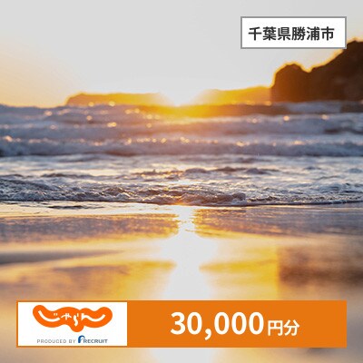 【じゃらんふるさと納税クーポン】 千葉県勝浦市でつかえる30,000円 クーポン