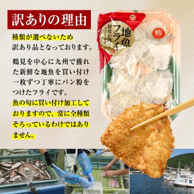 【試食用チキンカツ付】<訳あり・お試し用>地魚フライセット詰合せ (計4P・3種類以上)  