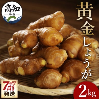 黄金しょうが2kg 【7日程度で発送】 Xnb-0007