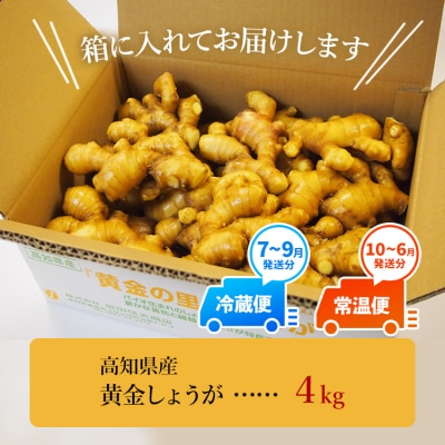 黄金しょうが4kg 生姜一筋70年の生姜老舗問屋 【7日程度で発送】 Xnb-0008
