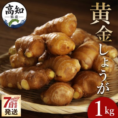 しょうが 約1kg 黄金しょうが 野菜 根菜 【7日程度で発送】 Xnb-0009