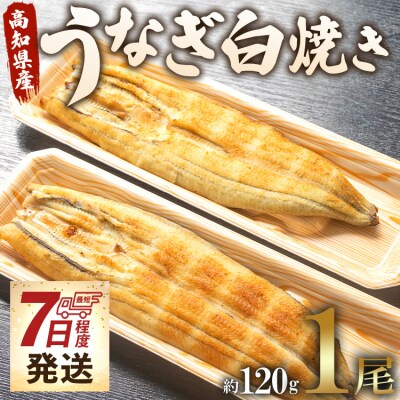 【7日程度で発送】うなぎ白焼き120g 1尾(無頭) un-0078