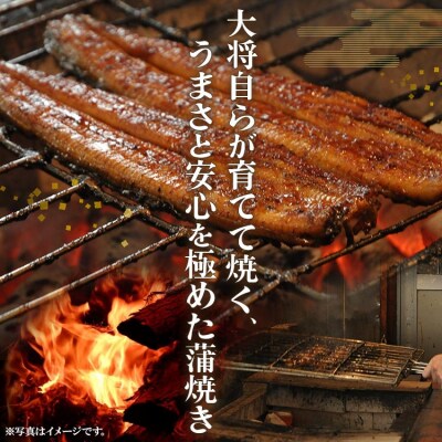 【6回定期便】うなぎ蒲焼き 120g3尾(無頭) 高知県産鰻 Wun-0076