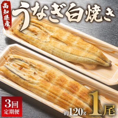 【3回定期便】うなぎ屋きた本 うなぎ白焼き120g 1尾(無頭) Wun-0080