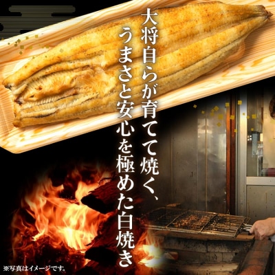 【3回定期便】うなぎ屋きた本 うなぎ白焼き120g 1尾(無頭) Wun-0080