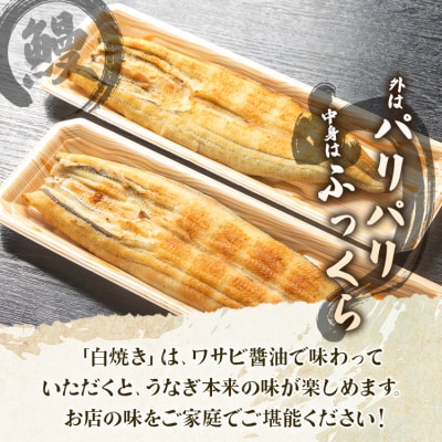 【3回定期便】うなぎ屋きた本 うなぎ白焼き120g 1尾(無頭) Wun-0080