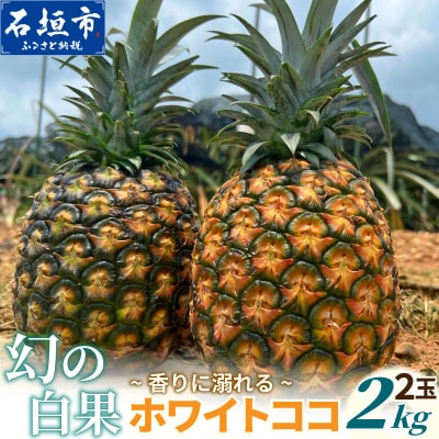 《2027年5月下旬以降順次発送》香りに溺れる。幻の白果 ホワイトココ 2玉(約2kg)