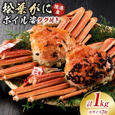 境港産松葉がにボイル姿タグ付き　計1kg(中サイズ2枚)