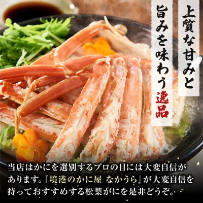 境港産松葉がにボイル姿タグ付き　計1kg(中サイズ2枚)