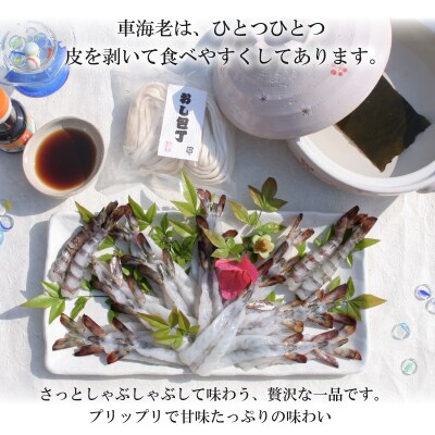 車海老のしゃぶしゃぶセット(車海老・ぽん酢・押し包丁麺・ゆず胡椒・昆布)_S011-016A