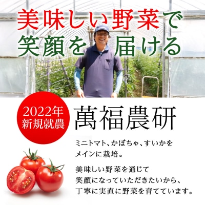 【2026年発送】〈萬福農研〉産地直送!ミニトマト(プレミアムルビー) 1kg