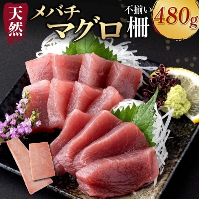 【 訳あり 】天然メバチマグロ 480g (不揃い柵)
