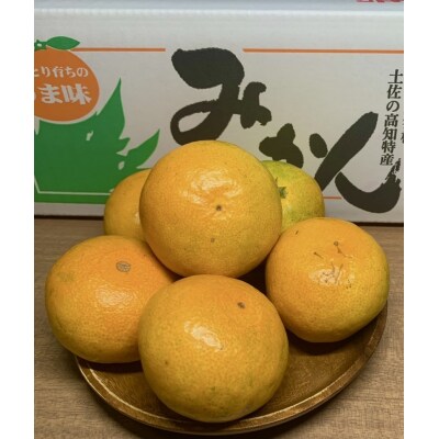 服部農園　ゆら早生みかん　2.5kg(Sサイズ)