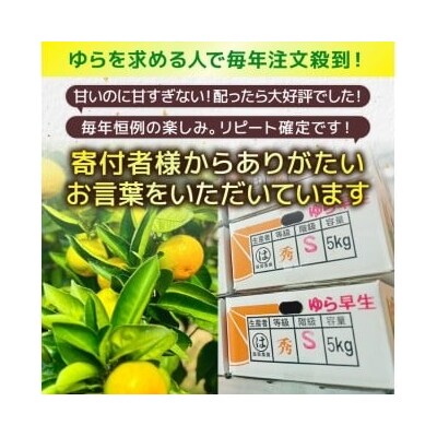 服部農園　ゆら早生みかん　2.5kg(Sサイズ)