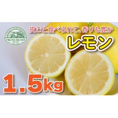 【先行受付】【2026年10月1日～】レモン 約1.5kg フルーツアイランド・マルエム産