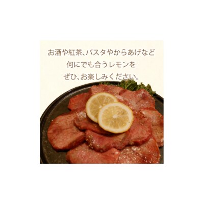 【先行受付】【2026年10月1日～】レモン 約1.5kg フルーツアイランド・マルエム産