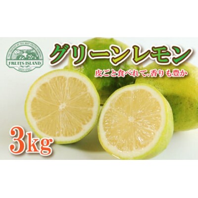 【先行受付】【2026年10月1日～】レモン 3kg フルーツアイランド・マルエム産 