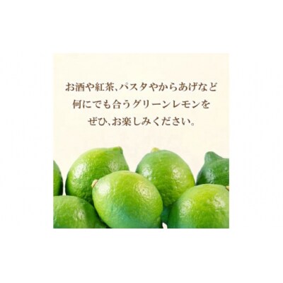 【先行受付】【2026年10月1日～】レモン 3kg フルーツアイランド・マルエム産 