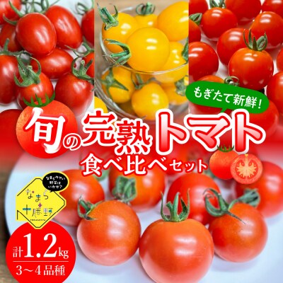 【先行受付】【2026年8月上旬より順次発送】旬の完熟トマト3～4品種詰め合わせ食べ比べセット
