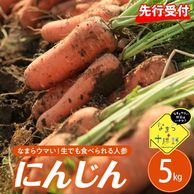 【先行受付】【10月上旬より発送】北海道十勝芽室町 なまら十勝野 芽室町産にんじん5kg