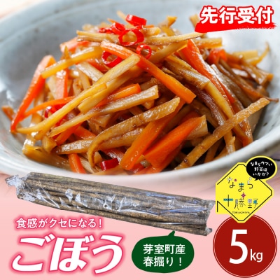 【2026年5月中旬～発送】北海道十勝芽室町 春掘りごぼう【柳川理想】M5kg me001-032c