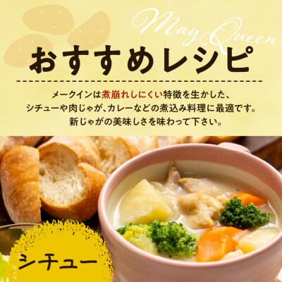 【2026年10月下旬より順次出荷】北海道 十勝芽室町 メークイン Mサイズ 10kg