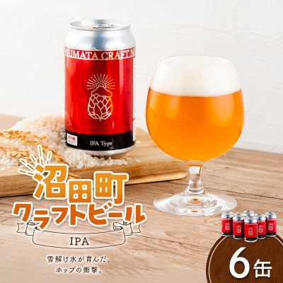 沼田町クラフトビール IPA 6缶 地ビール 酒 アルコール飲料 沼田町 北海道 n-0264