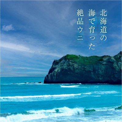 北海道産 塩水ウニ(バフン)400g_Y038-0147