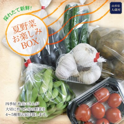 採れたて新鮮!夏野菜お楽しみBOX