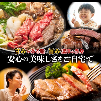 北海道十勝芽室町　未来とかち牛肩ローススライス　500g　me073-004c