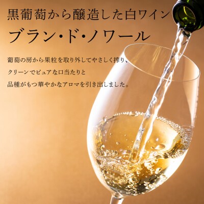 葡萄作りの匠 北島秀樹ピノ・ノワール ブラン・ド・ノワール2023 2本_Y020-0653