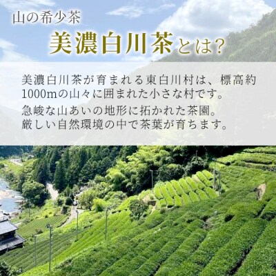 ふくよかな味わい 特上煎茶「空鏡-くうきょう-」 70g 