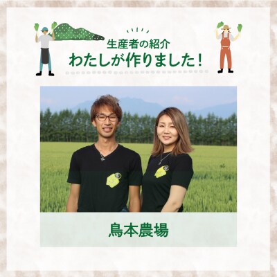 【先行受付11月より発送】北海道十勝芽室町　なまら十勝野の鳥本農場リーキ 6本 me001-046c