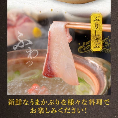 【天草育ち】活じめ!うまかぶり生鮮フィーレ 約1.2kg(真空パックでお届け)_S137-009