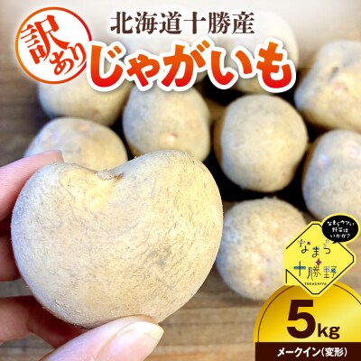 【訳あり】北海道十勝芽室町 農家応援じゃがいも メークイン(変形)5kg　me001-050c-2